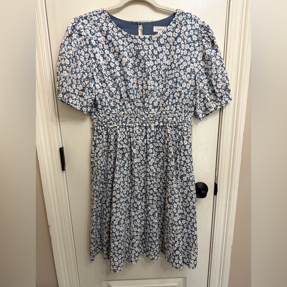 Ott Floral Blue and White Dress Medium
